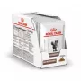 Märkäruoka kissoille Royal Canin Gastrointestinal 85 g pussi — liha, 12 x 85 g, aikuiset kissat, maha-suolivaivoihin