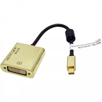 Videokaapeliadapteri ROLINE 12.03.3176 Mini DisplayPort - DVI-D 0,1 m