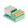 DeLOCK 90652 kaapeliadapteri RJ45 8-pin liitinrima vihreä hopea