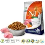 FARMINA N&D Pumpkin Lamb&Blueberry Adult Medium & Maxi - kuivaruoka koirille - 12 kg