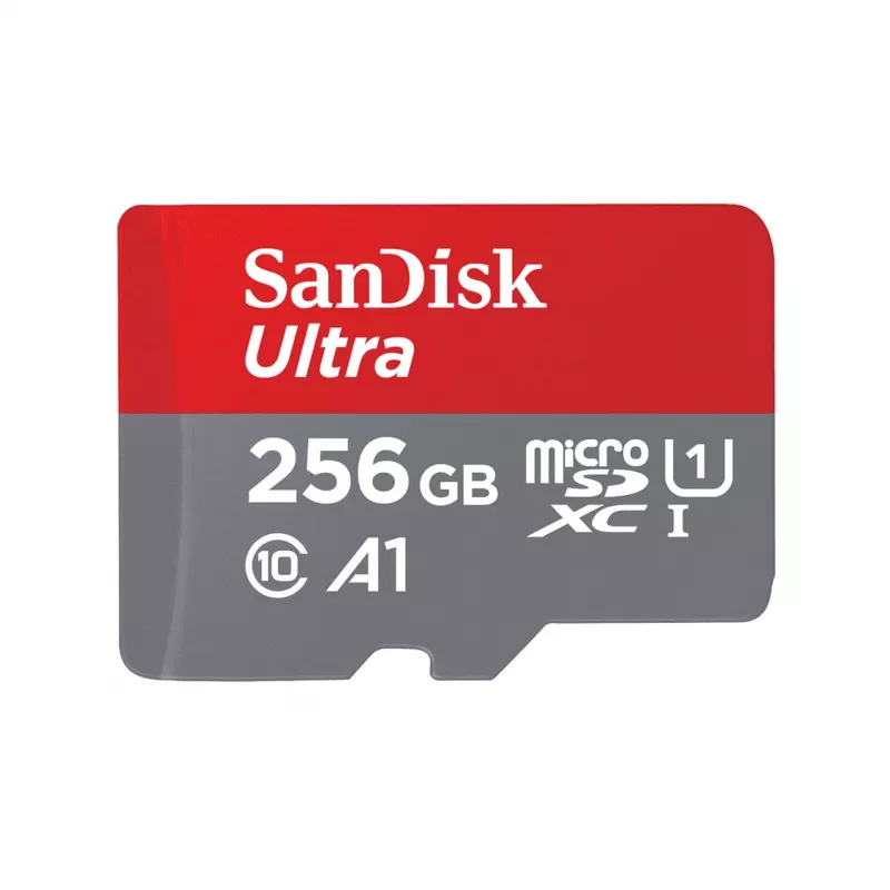 Flash-muisti SanDisk 256 GB MicroSDXC UHS-I SDSQUNR-256G-GN6TA