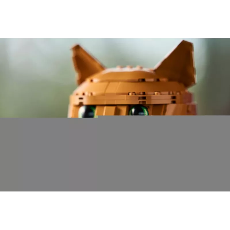 LEGO IDEAS 21376 oranssi kissa