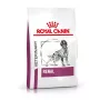 ROYAL CANIN Veterinary Renal kuivaruoka koirille - 2 kg