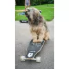 Longboard Muuwmi Lights GLOW ABEC 7 hehkuvilla pyörillä, musta/vihreä