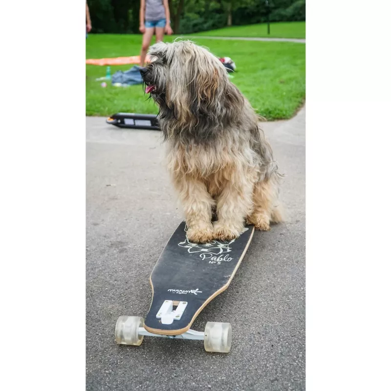 Longboard Muuwmi Lights GLOW ABEC 7 hehkuvilla pyörillä, musta/vihreä