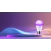 Xiaomi Smart LED-lamppu valkoinen ja värillinen - älylamppu