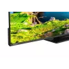 TV LED 55