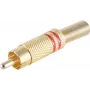 shiverpeaks BS52020-R jatkoliitin RCA kulta (BS52020-R)