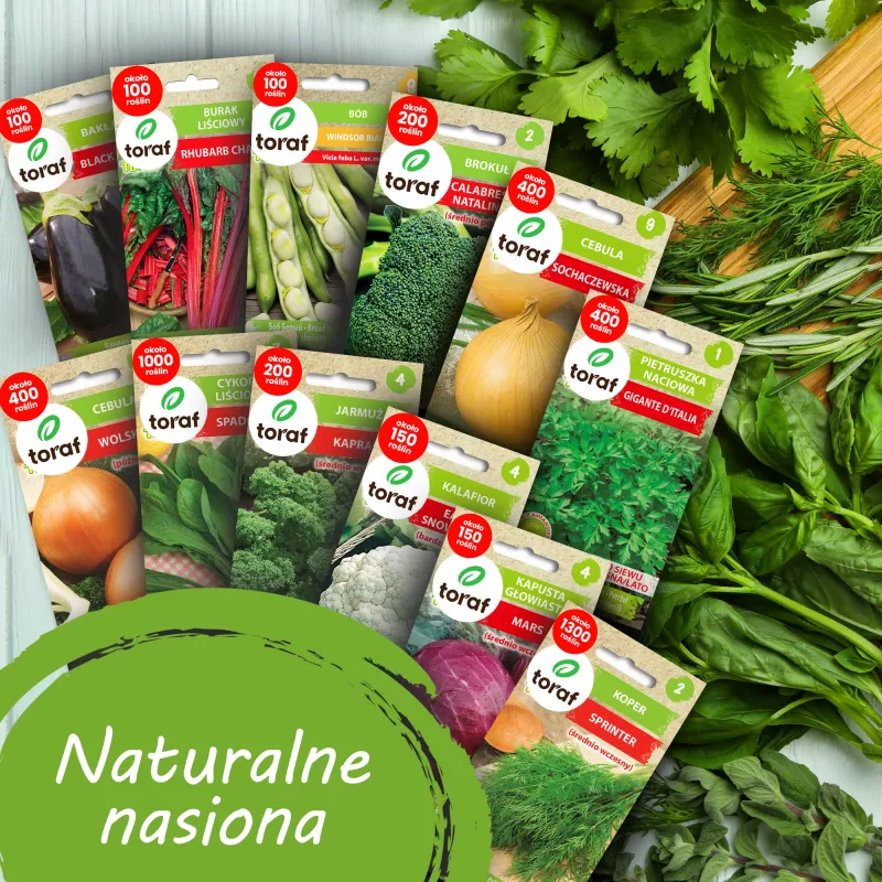 Toraf vihannessiemen-harmoniasetti – 12 pakkausta