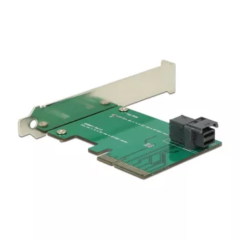 Liitäntäkortti DeLOCK 89458