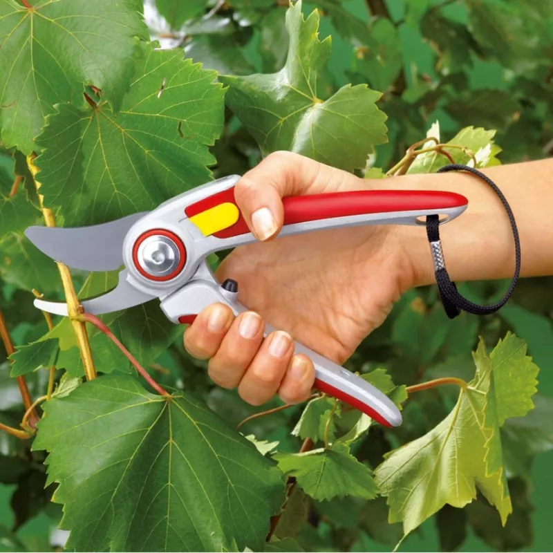 Ruohonleikkuri WOLF-Garten RR 5000 ALU-PROFESSIONAL