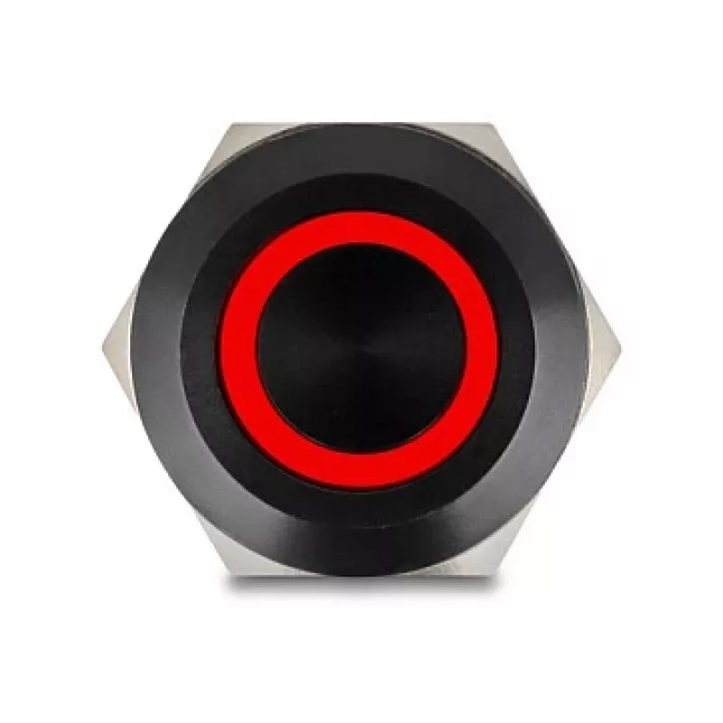 Paneelipainonappi DELOCK 22015 22 mm, 12 V, 5 juotosliitäntää