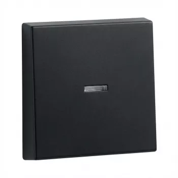 Keinupainikkeet Gira System 55 -valvontakehykselle, malli 290005 (keinupainike valvontakehykselle)