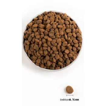 ORIJEN Regional Red - kuivaruoka koirille - 6 kg