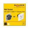 DeLOCK 11489 pistorasia CEE 7/3 + USB valkoinen 250V 16A