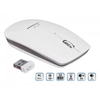 Esperanza EM120W hiiri RF langaton optinen 2400 DPI