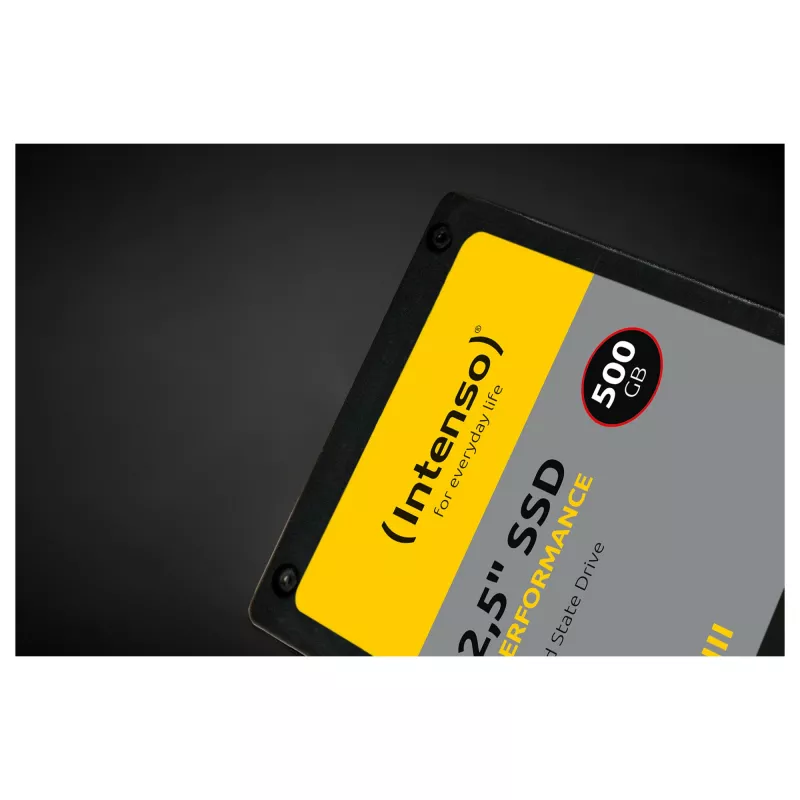 Intenso performance - SSD - 1 TB - sisäinen - 2,5