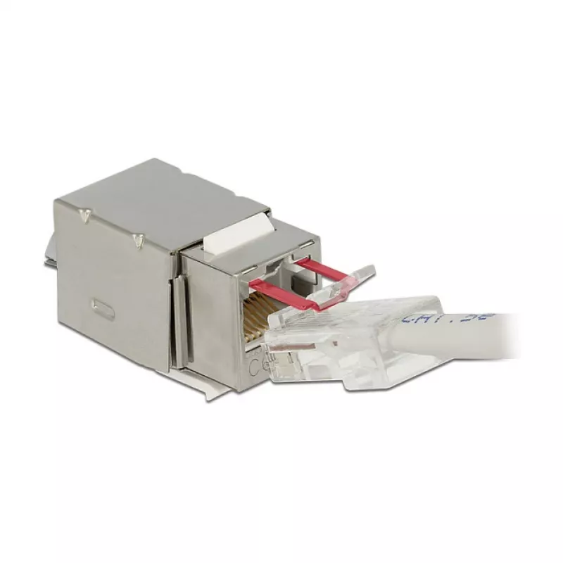 Delock 86404 Keystone-moduuli RJ45 Secure Cat.6 - LSA, valkoinen