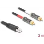 DeLOCK audiokaapeli 2 m RJ-45 – 2 x RCA musta 88171