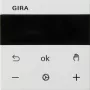 Gira 539327 näyttö