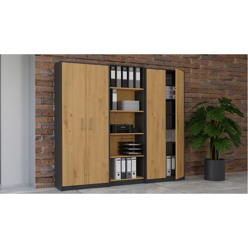 Topeshop OLIV 2D ANT/ART KPL kirjahylly