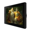 Huion Kamvas Pro 13 GT133 piirustustabletti