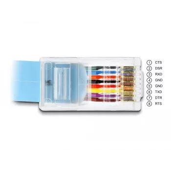 DeLOCK sovitin RS-232 DB9 uros RJ45 uros 1 m