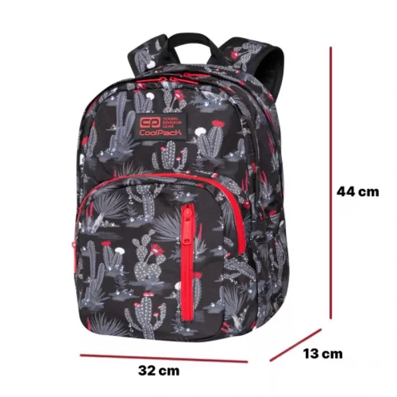 Reppu CoolPack Discovery Gringo
