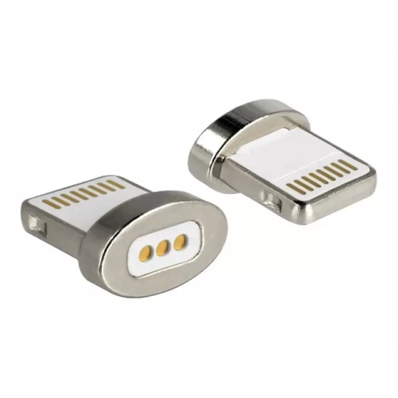 DeLOCK - Lightning-sovitin - magneettinen Lightning (M) - Apple iPad/iPhone/iPod (Lightning) -laitteisiin (65928)