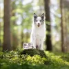 RAW PALEO Puppy Monoprotein Beef - märkäruoka pennuille - 400 g