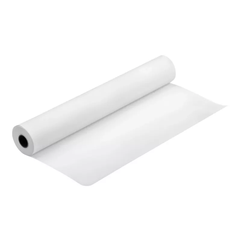 Epson Production Canvas Matte, 610 mm x 12,2 m, 12,2 m, 61 cm, 61 cm (24