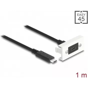 DeLOCK Easy 45 -moduuli SuperSpeed USB 10 Gbps USB Type-C naaras uros 1 m
