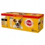 Pedigree Vital Protection Adult märkäruoka koirille kastikkeessa, 40 x 100 g