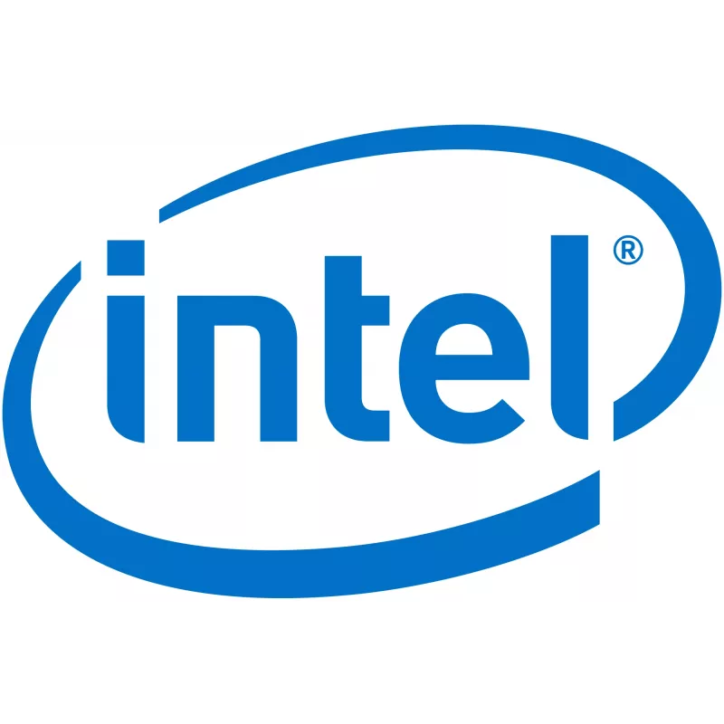 Intel Remote Management Module 4 Lite 2 - etähallinta-adapteri (AXXRMM4LITE2)