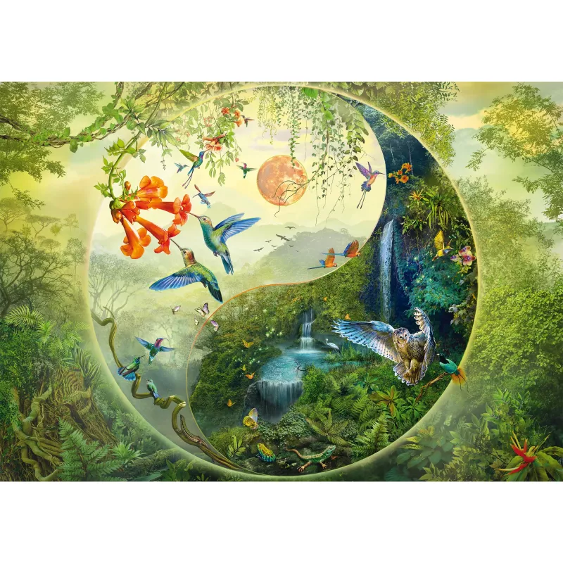 Palapeli 1000 palaa, schmidt spiele Silvia Christoph — Yin & Yang kolibrien metsässä