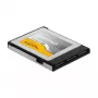 Muistikortti DeLOCK 54066 256 GB CFexpress