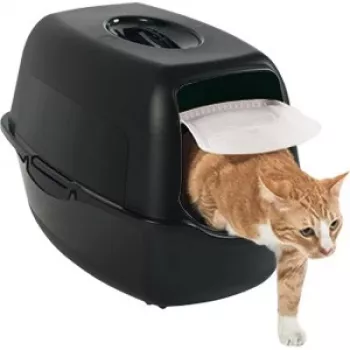 Kannellinen kissanvessalaatikko Rotho Bailey Cat musta 560×400×390 mm, hiilisuodatin, oviluukku, kahva