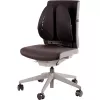 SELKÄTUKI/BACK ANGEL 8026401 FELLOWES