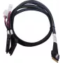 SAS-kaapeli ADAPTEC Microchip Technology 2305500-R SlimSAS ×8 2×2SFF-8639 U.2, 0,8 m, musta
