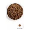 ORIJEN Dog Original - koiran kuivaruoka - 2 kg
