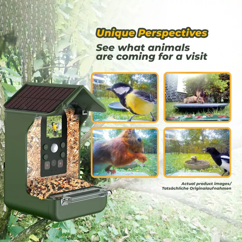 EASYPIX Bird Camera Easypix Bird Cam 10123 1080p HD yönäkö