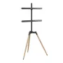 TV-lisävaruste lattialle 32-65/TRIPOD TVS-65S-01 Gembird