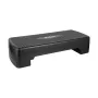Rebel Active Fitness Step 2-portainen, polypropyleeni, liukumaton pinta, 680×280 mm, tuettu korkeussäätö