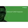 Webroot | DNS Protection GSM-konsolilla | 1 vuosi | Lisenssimäärä 1-9 käyttäjää