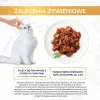 GOURMET GOLD - vuoka ankkaa ja kalkkunaa 85 g