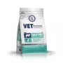 VET RESPONSE Gastrointestinal - kuivamuona kissoille - 1,6 kg