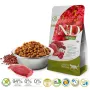 Farmina N&D Cat Quinoa Urinary ankka 5 KG