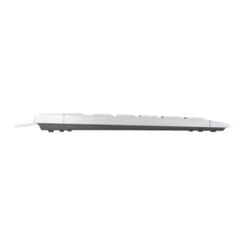 CHERRY STREAM TKL näppäimistö yleiskäyttöön USB QWERTZ saksa valkoinen