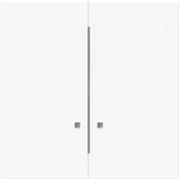 BUSCH JAEGER keinupainike 1785 K-44G kanssa 2 keinupainikepuoliskoa (2CKA001751A3305)