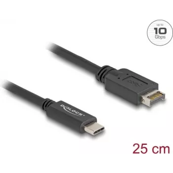 DeLOCK USB-kaapeli USB Type-E Key A 20-napainen uros USB Type-C uros 25 cm